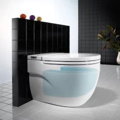 Roca In-Tank Meridian Back To Wall Toilet With Integrated Cistern + Soft Close Seat -Ideal Standard Store 893303000 d1