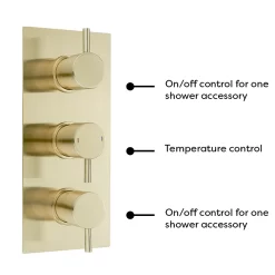 Arezzo Brushed Brass Round Thermostatic Shower Pack With Wall Mounted Head + Handset